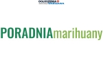 PoradniaMarihuany.pl nowoczesna platforma zdrowotna-recepta online
